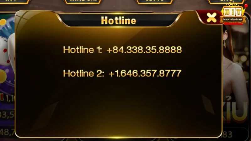 Liên hệ hấp Hit Club qua Hotline