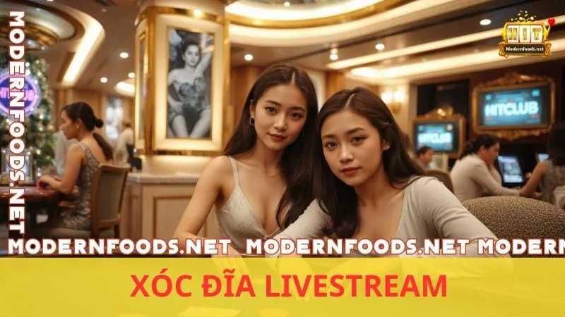 Xóc Đĩa Livestream – Hồi Hộp, Kịch Tính Trong Từng Lượt Mở